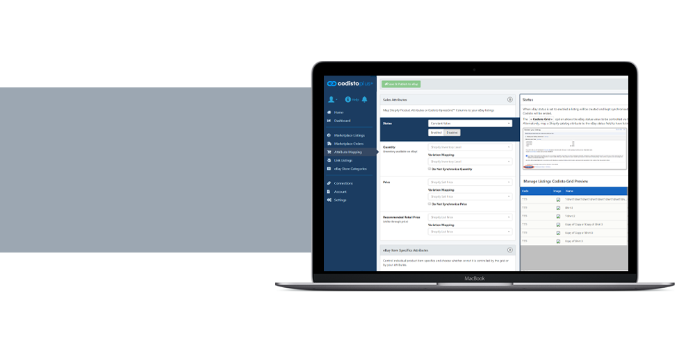 Codisto Plus Enterprise user interface